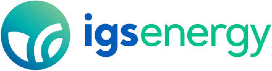 IGS logo