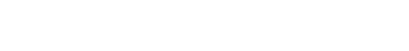 Level Equity logo